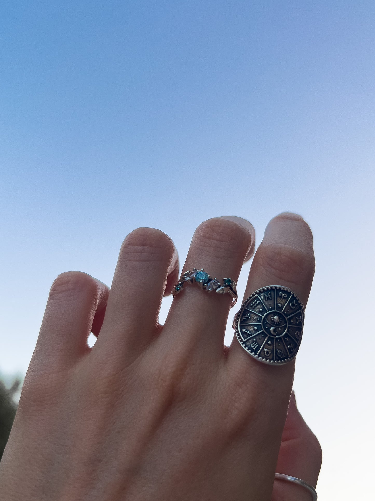 Anillo Zodíaco